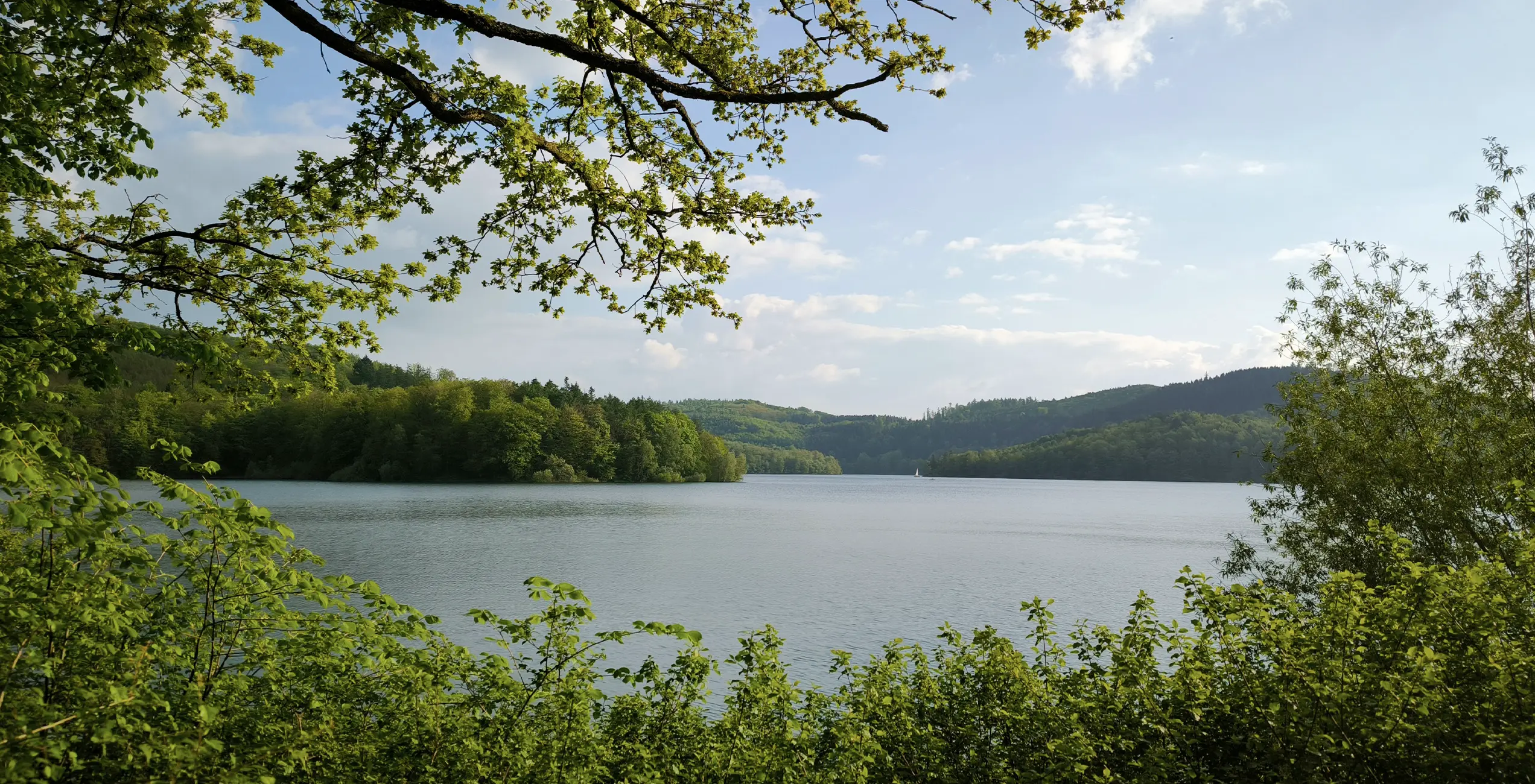 Hennesee Hennesee